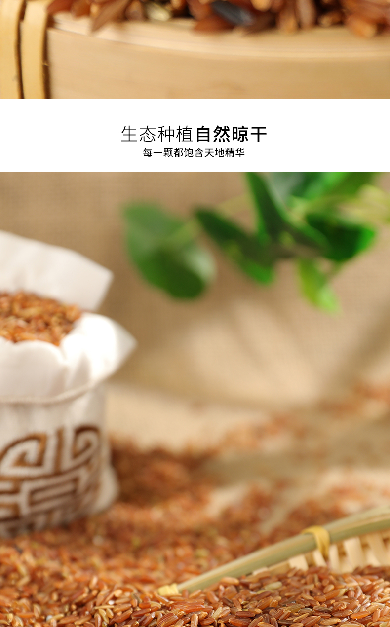 青田稻魚(yú)米紅米2.5kg(圖5)