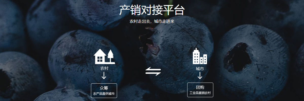 公共信息平臺